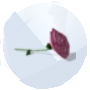 Imagen de una Begonia de Los Sims 4 Estaciones para Jardinería
