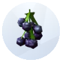 Imagen de moras de Los Sims 4 para jardinería