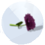 Imagen de una Dahlia de Los Sims 4 Estaciones para jardinería