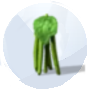 Imagen de una judía verde de Los Sims 4 Estaciones para jardinería