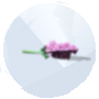 Imagen de un Nuzzlenip de Los Sims 4 Gatos y Perros para Jardinería