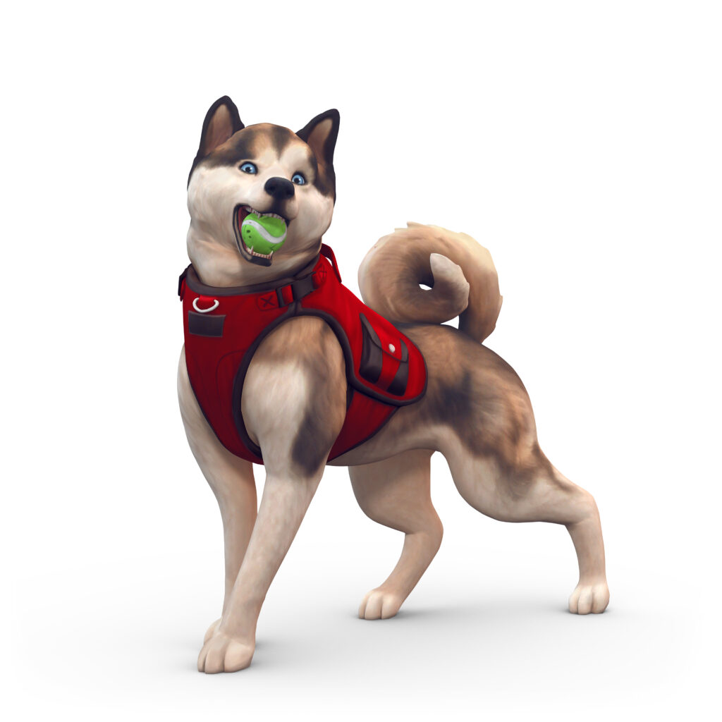 Guía de habilidades de entrenamiento de mascotas en Los Sims 4: Gatos y Perros - Guías definitivas de Los Sims